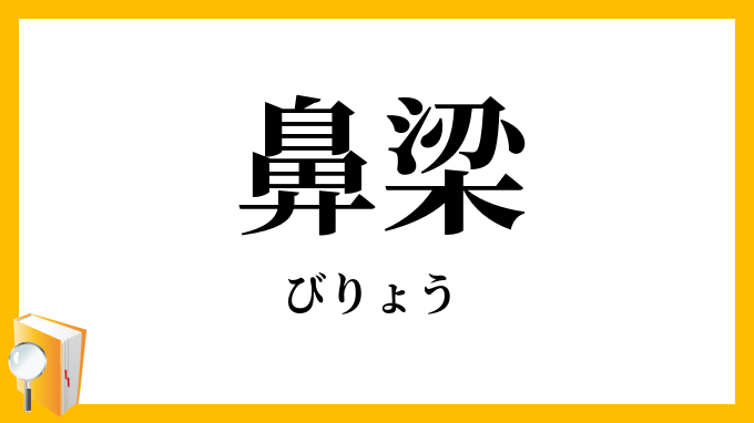 鼻梁