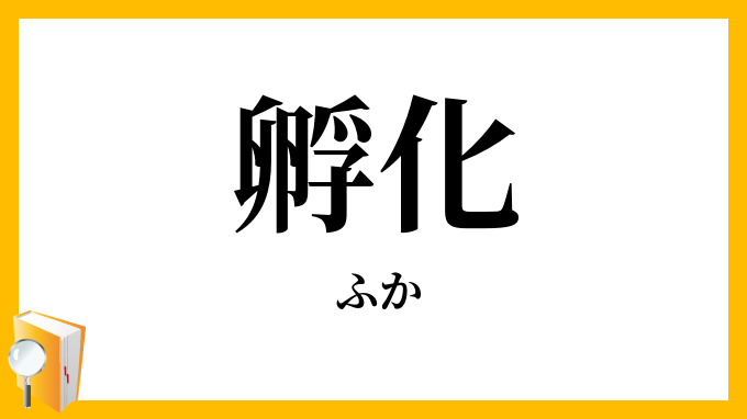孵化
