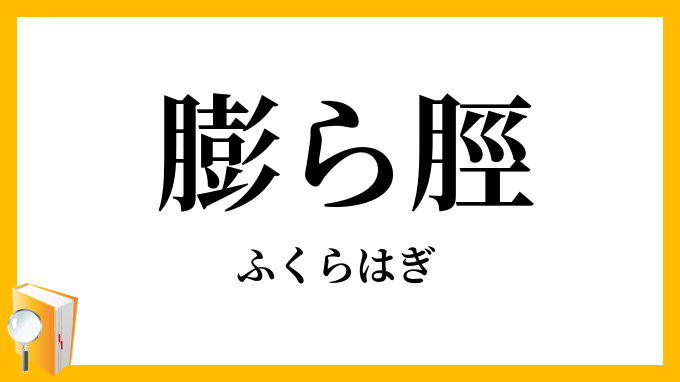 膨ら脛・脹ら脛