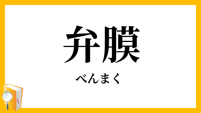 弁膜・瓣膜