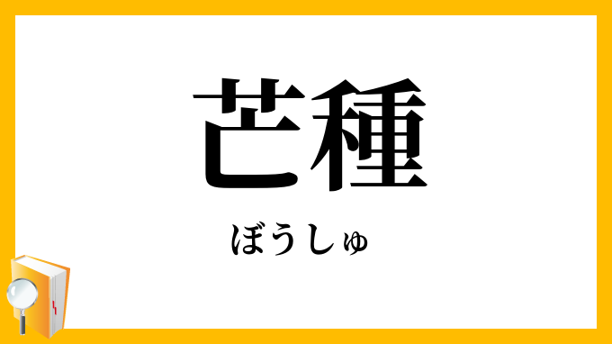 芒種