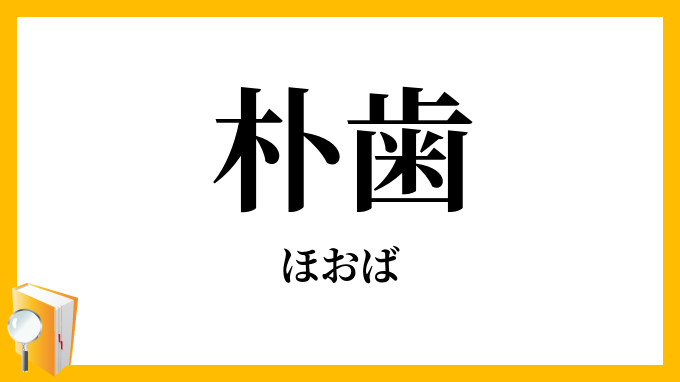 朴歯