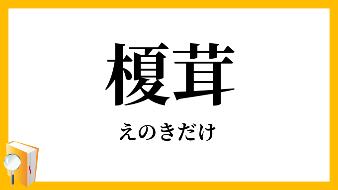 榎茸