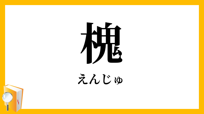 槐