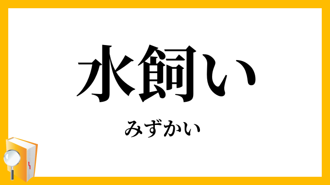 水飼い