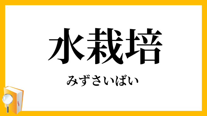 水栽培