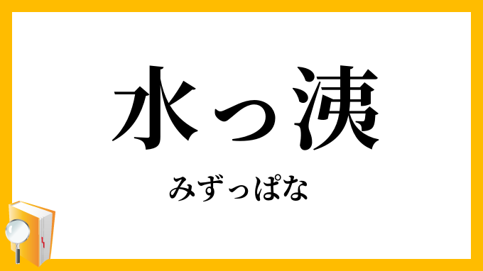 水っ洟