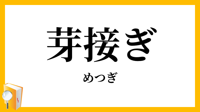 芽接ぎ