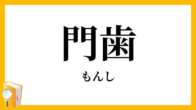 門歯