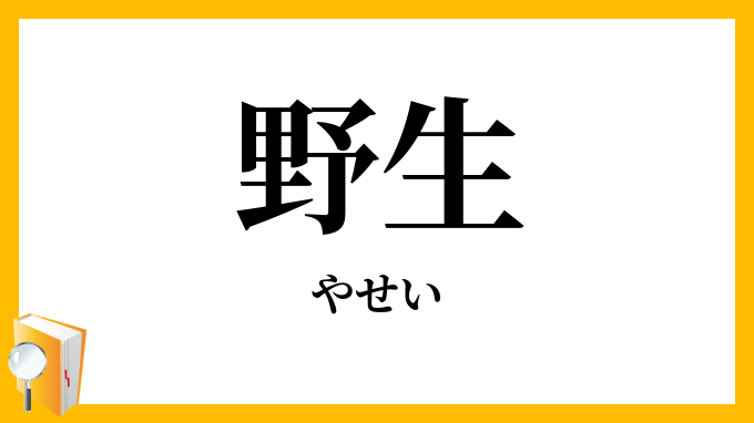 野生