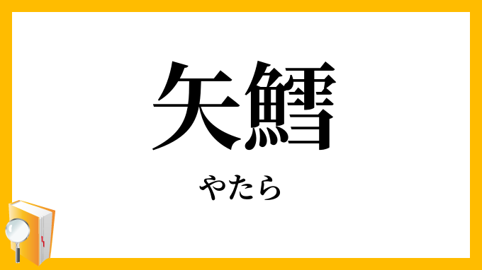 矢鱈