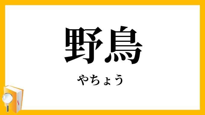 野鳥