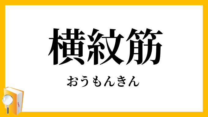 横紋筋