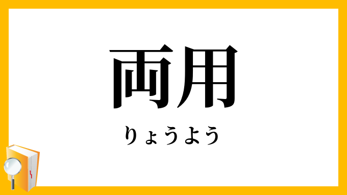 両用