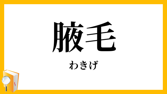 腋毛・脇毛