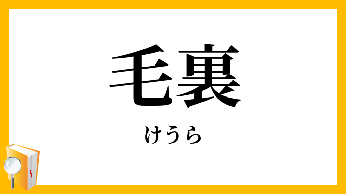 毛裏