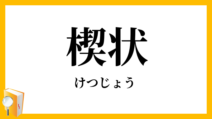 楔状