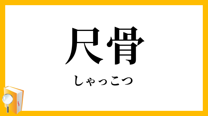 尺骨