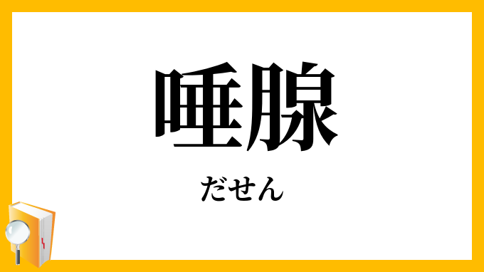 唾腺