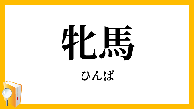 牝馬