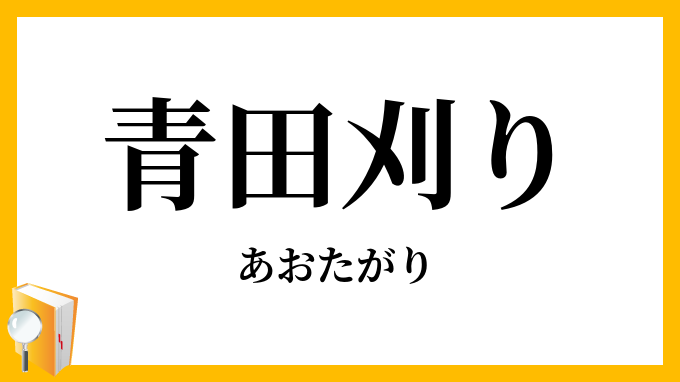 青田刈り