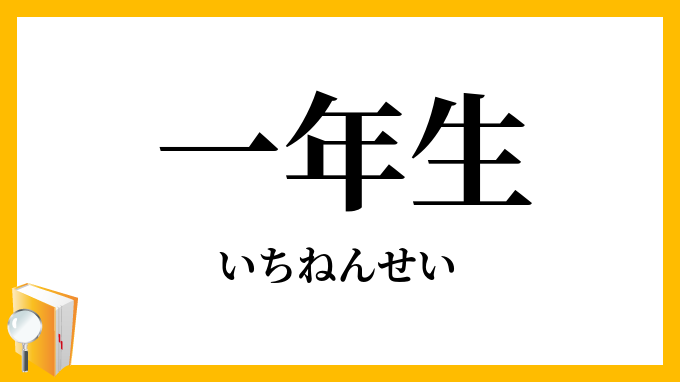 一年生