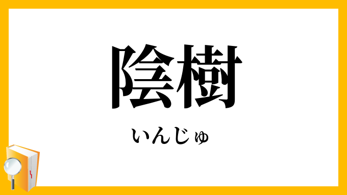 陰樹