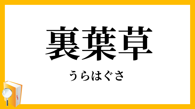 裏葉草