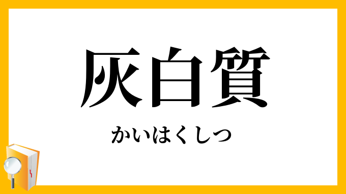 灰白質