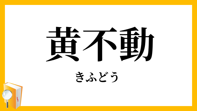 黄不動