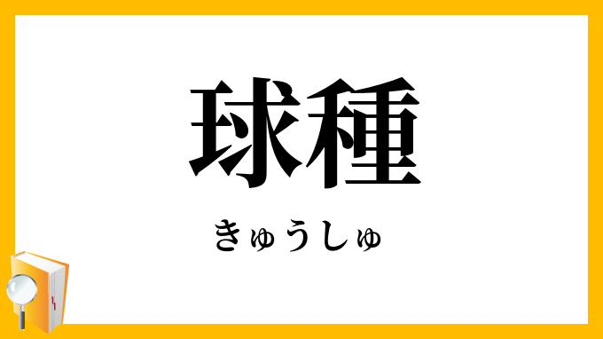 球種