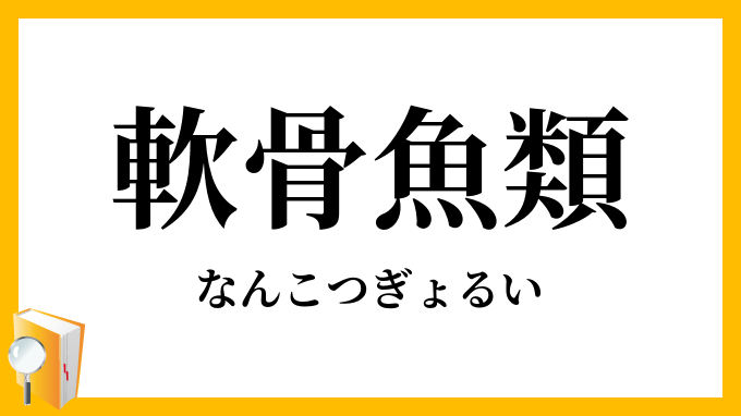 軟骨魚類