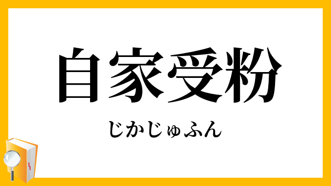 自家受粉