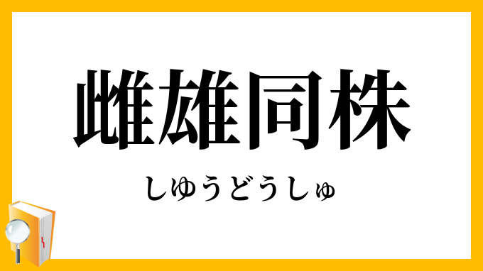 雌雄同株