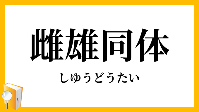 雌雄同体