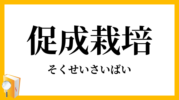 促成栽培