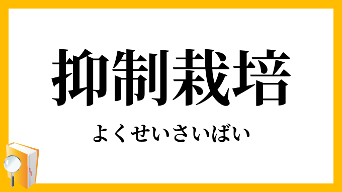 抑制栽培