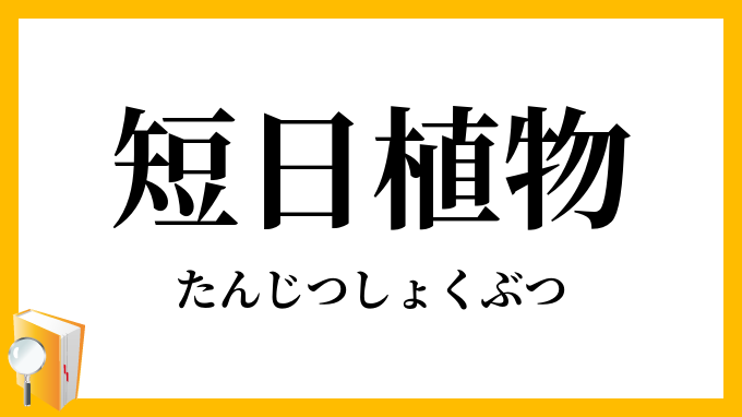 短日植物