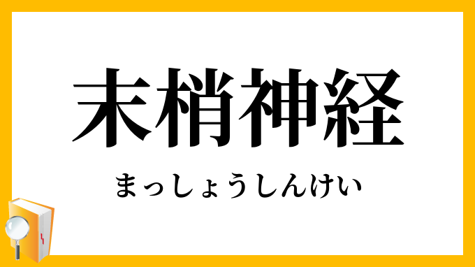末梢神経