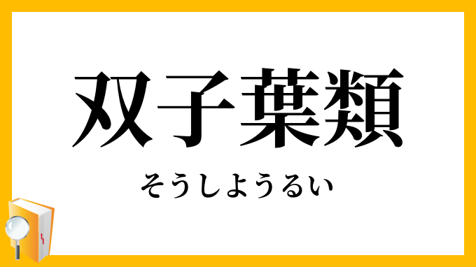双子葉類