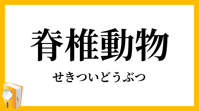 脊椎動物