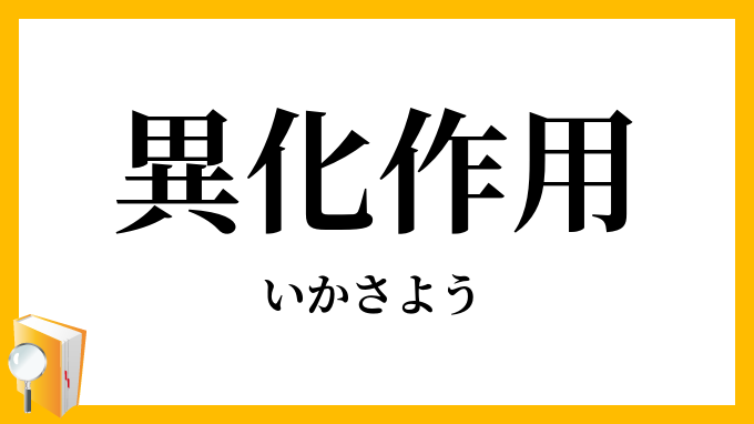 異化作用