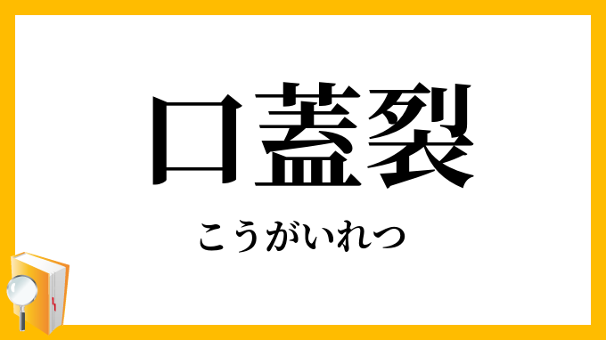 口蓋裂