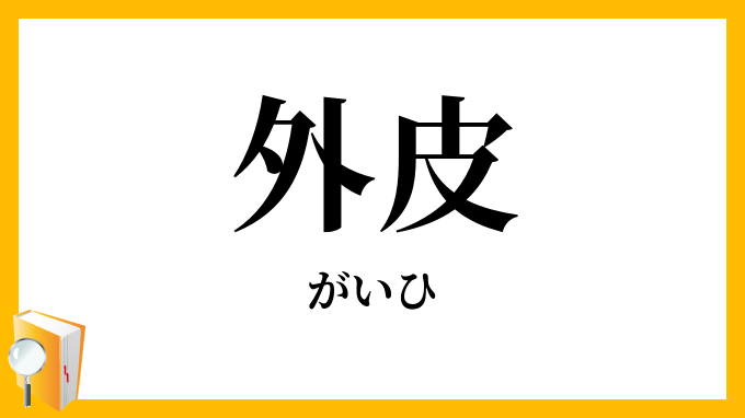 外皮