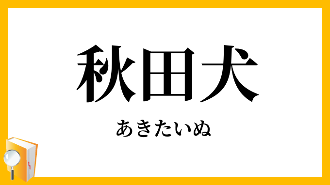 秋田犬