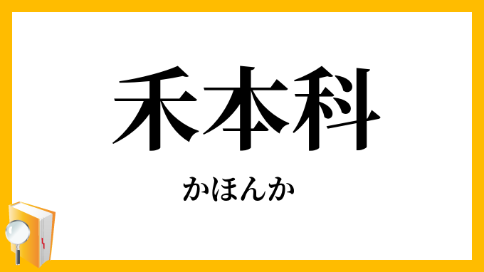禾本科