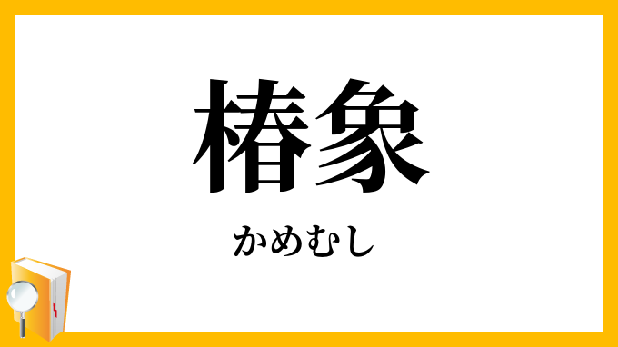 椿象