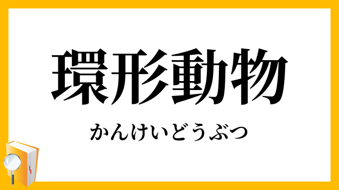 環形動物