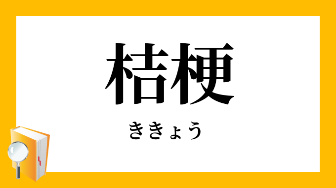 桔梗 ききょう の意味