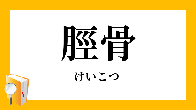 脛骨 けいこつ の意味